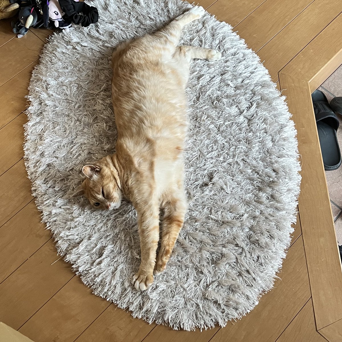 最近太ったなあ👨🏼‍🦳