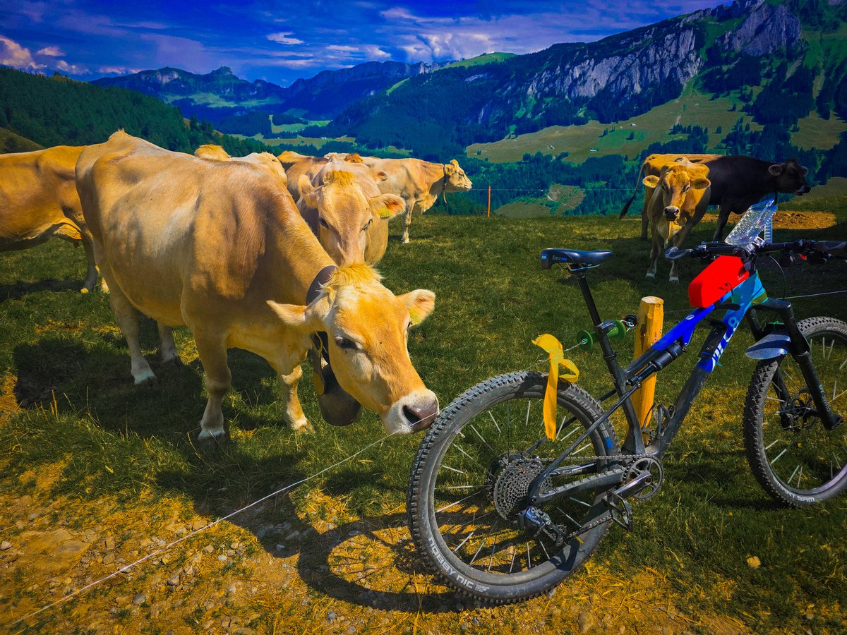 AdrianoAguzzi's tweet image. Uncontroversial tweet from the (self-appointed) Tourism Office of Appenzell.