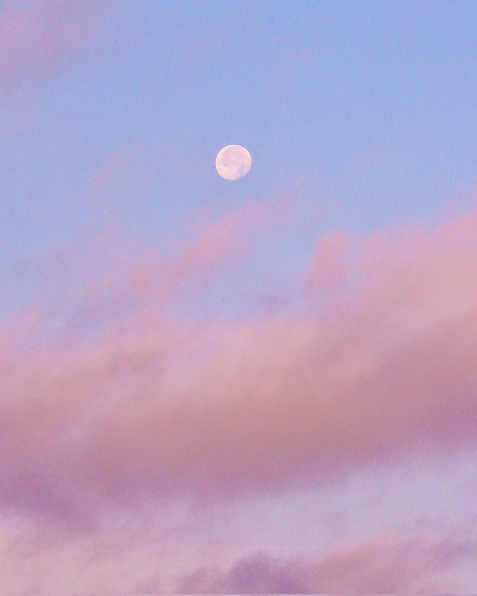 hiy_twinkle's tweet image. 満月を過ぎて
今朝空に浮かぶ月を見るため
早起きする休日でした

明日の夜明けも晴れるといいな