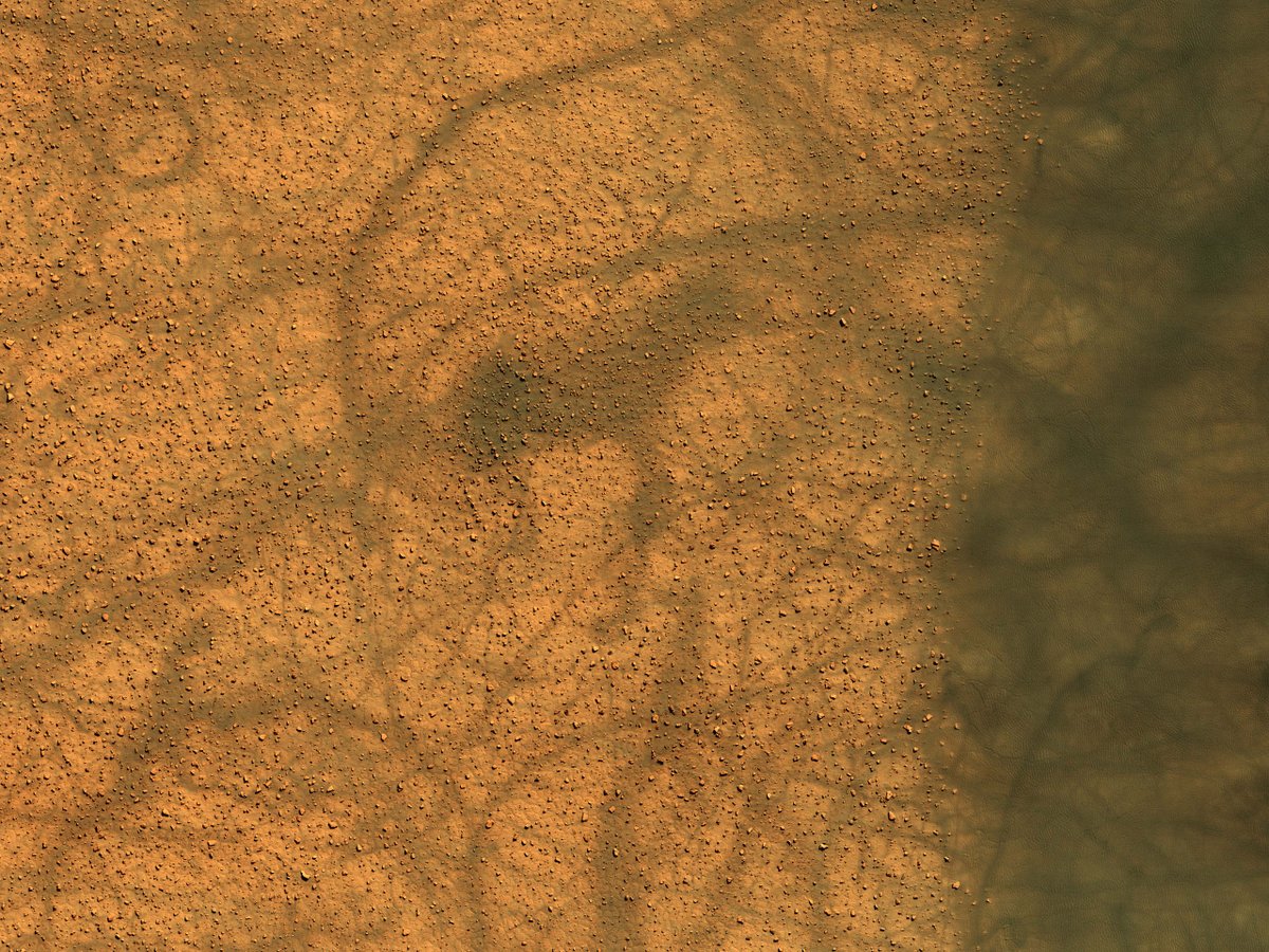 Dust Devil Dance

Dust devils form over the warm dunes but then dance out over the plains, spinning and performing pirouettes and leaving conspicuous dark tracks as bright dust is lifted from the surface. 

uahirise.org/hipod/ESP_0661…
NASA/JPL-Caltech/University of Arizona
#Mars