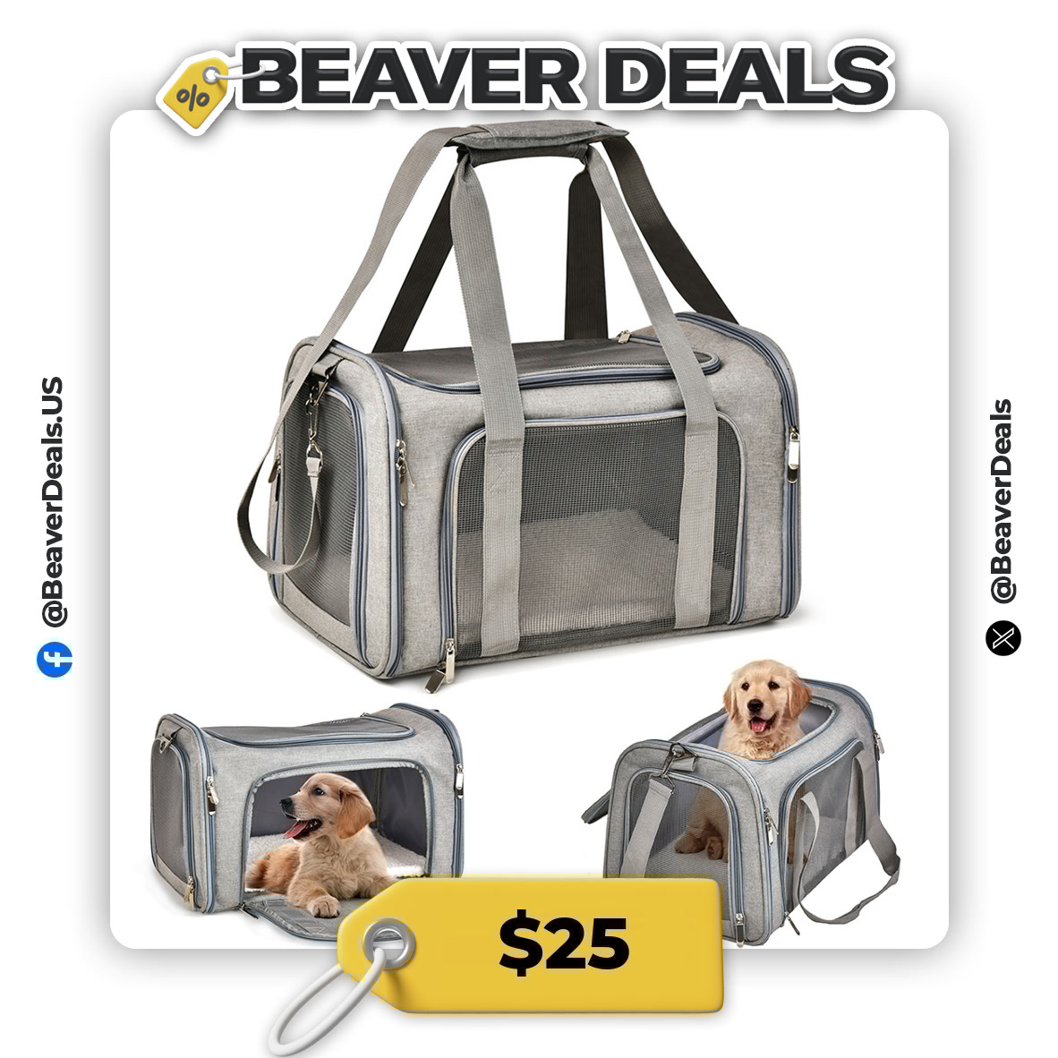 BeaverDeals's tweet image. ADVENTURE AWAITS! 🐾✈️

🎒 Soft Side Dog Cat Backpack Carrier Airline Approved
💵 $25

🔗 s.click.aliexpress.com/e/_olNXChJ

#PetTravel #DogCarrier #CatBackpack
