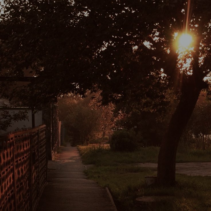 tonesofmood's tweet image. 