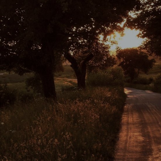 tonesofmood's tweet image. 