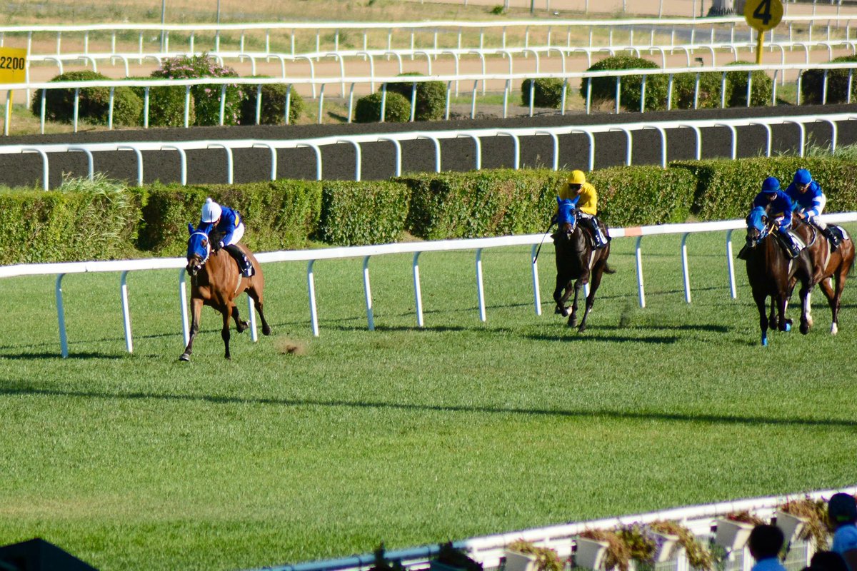 İlk üç sıra bizim 🧿💚🙏

<a href="/burak_gokturk/">Burak Göktürk</a> 
<a href="/hasan_boyraz58/">Hasan BOYRAZ</a> 
<a href="/gokturkekurisi/">Göktürk Ekürisi</a>