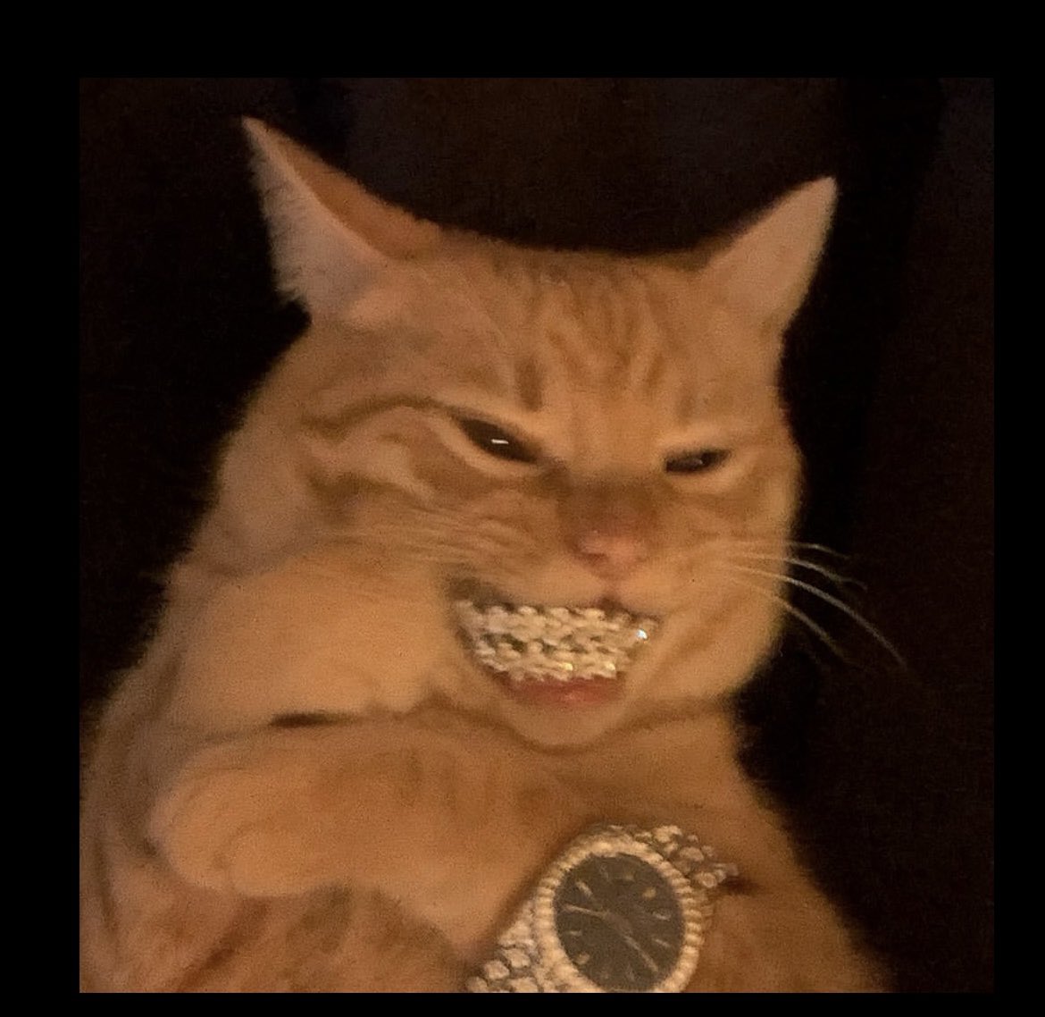 TheoryWiseOS's tweet image. How I feel when Phosani drops 23 bass (I’m very hungry) #osrs