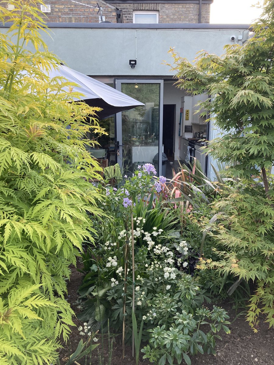 HelenORahilly's tweet image. Have to say it’s stirring to be sitting in one’s Dublin back garden in the glorious sun and to hear the voices of 80,000 people singing “Amhrán na bhFiann” carried on the breeze… #CrokePark #GAA