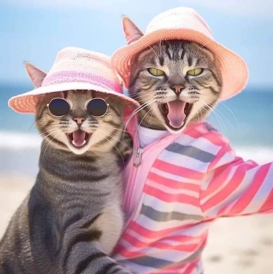 <a href="/WhalenMona/">Miss Mona</a> <a href="/PaulMer53/">PAULWALES LIVE LOVE LAUGH GUNS N ROSES 🌹</a> <a href="/FrankKane11/">Kane's Street Smarts</a> <a href="/bdonesem/">💞 𝔀𝓱𝓲𝓼𝓹𝓮𝓻 💞 ( ‏𝓐𝓵 ) 😘</a> <a href="/whale20564/">Miss M</a> <a href="/smontijo02/">PixelPusher</a> <a href="/IndyMagz/">@IndyMagz ♦KAG🇺🇸🇺🇸🇺🇸🇺🇸🇺🇸🇺🇸🇺🇸🇺🇸</a> <a href="/Bagel69er/">🇺🇸🇺🇸🇺🇸Bagel Colorado❤️🤍💙</a> <a href="/McQuade1966/">McQuade</a> <a href="/GilbertWanda/">Wanda Gilbert🔥</a> <a href="/operater404/">𝕮𝖆𝖙 𝕸𝖊𝖒𝖊 𝕶𝖎𝖓𝖌</a> <a href="/JackMedia7/">AMERICANDREAM09 🇺🇸 Jack Media ~DREAM</a> <a href="/Atp1958Tony/">Tony Pozzy OU812</a> <a href="/BluehandRising/">OO7 🌐 ̿̿ ̿'̿'\̵͇̿̿\з=( ͡◕ʖ ͡◕)=ε/̵͇̿̿/'̿'̿ ̿</a> <a href="/_AmaraL577/">@_AmaraL577</a> <a href="/satansradio666/">MAGA ROCK GAINS</a> <a href="/AlbertaBadAss/">🅰️🅱️🅱️🅰️</a> <a href="/ricphy2/">ricphy</a> <a href="/DeletedXpletive/">Deleted_Xpletive</a> Good morning 🌺🌸