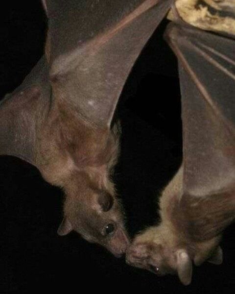 Me & Who? (@tagyourwho) on Twitter photo 