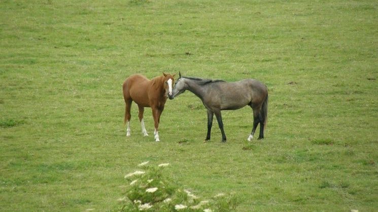 prtygal777's tweet image. You are the sun of my life