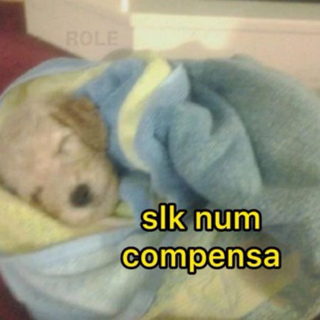 Toda ideia de fazer algo que me ocorre no meu domingo de folga: