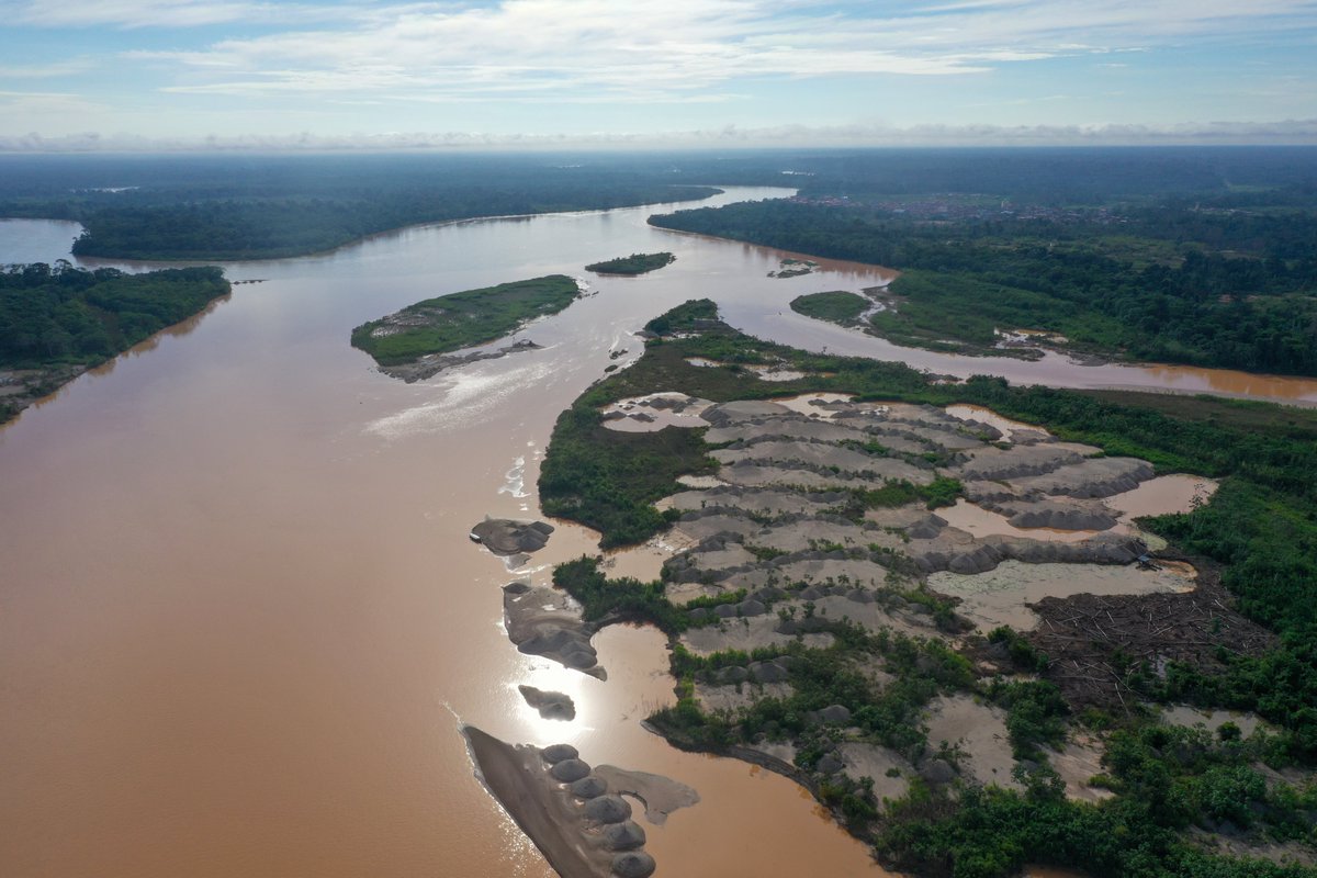 Leo Guerrero tweet media