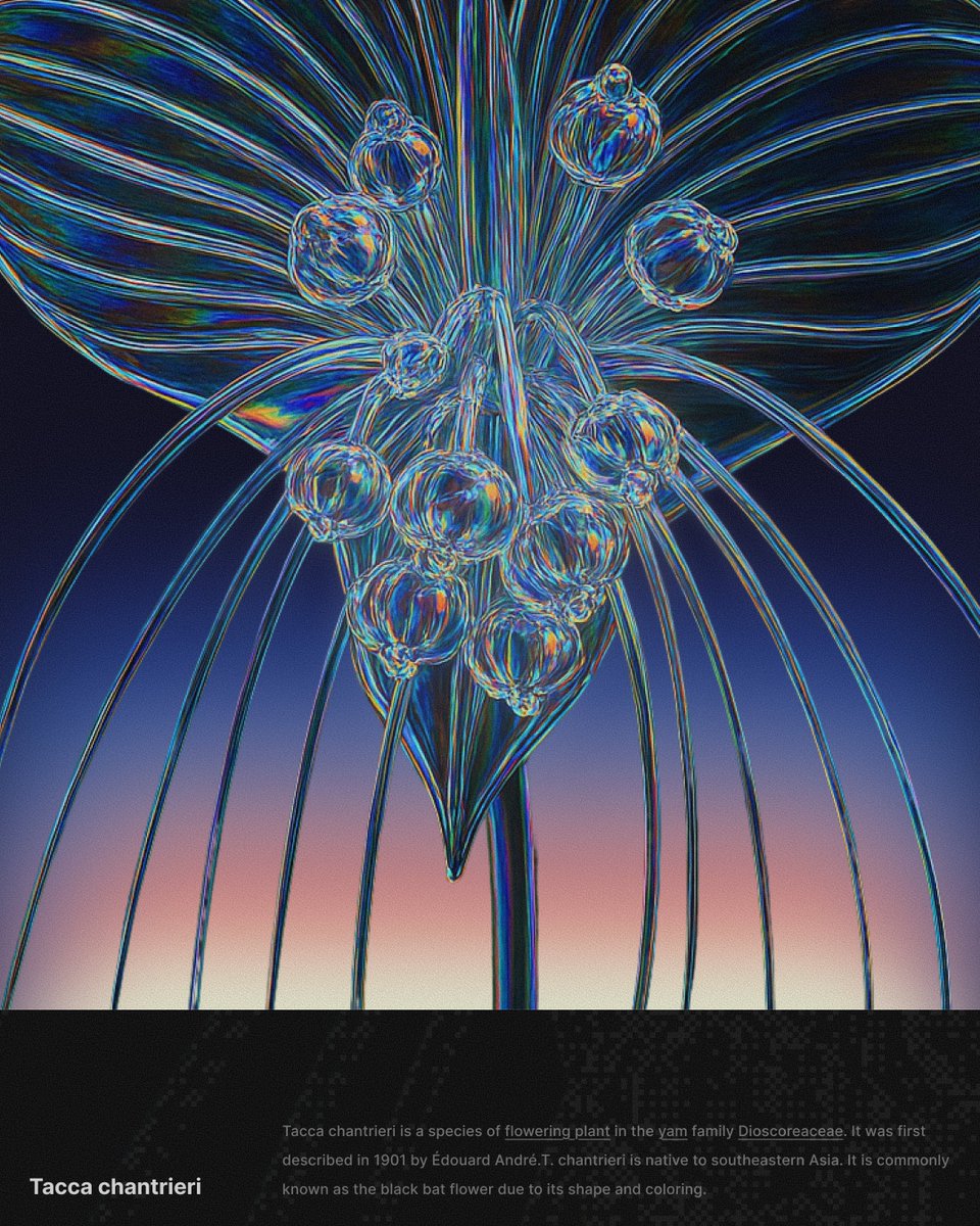 anandu_gopal_'s tweet image. late night poster experiments