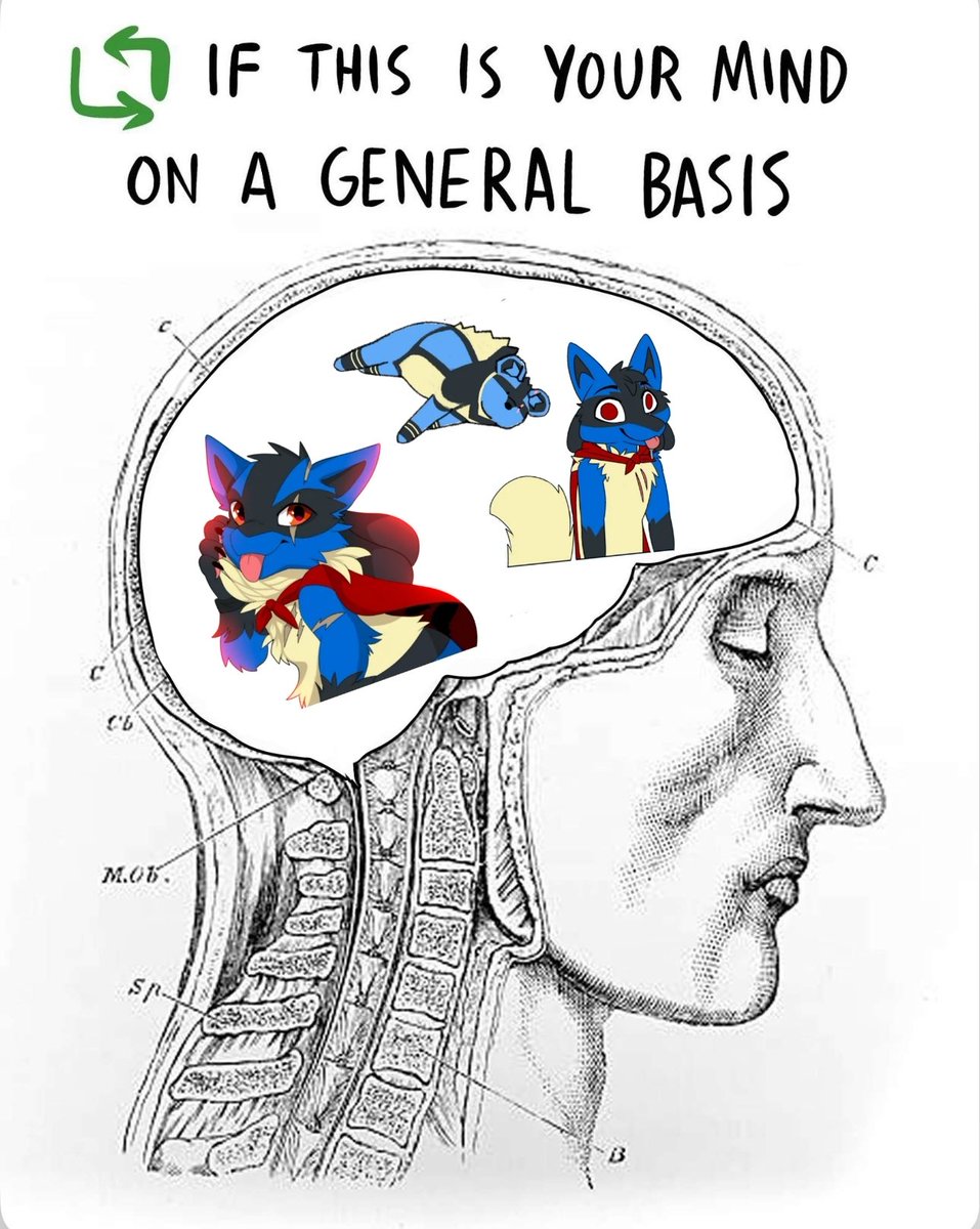There's just Lucario in my brain