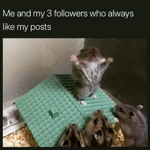 ZullKharn's tweet image. God give me strength to handle my adhd and work

me and my 3 subscribers on ko-fi