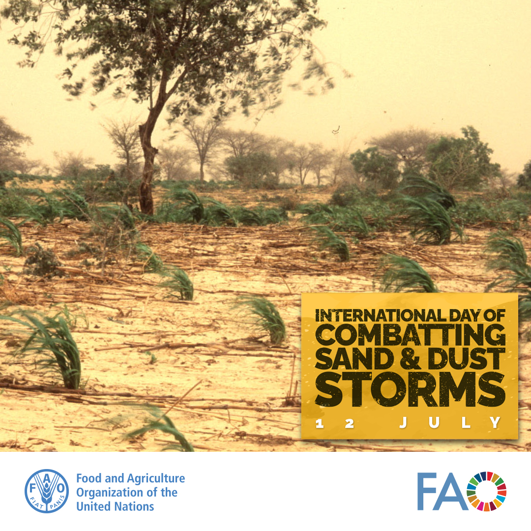 🌾Agriculture is both affected and part of the solution to mitigate sand &amp; dust storms risks &amp; impacts, through the implementation of sustainable land &amp; water management practices.  

#SDSDay #United4Land 
➡️Learn more: tinyurl.com/yckcrdzc