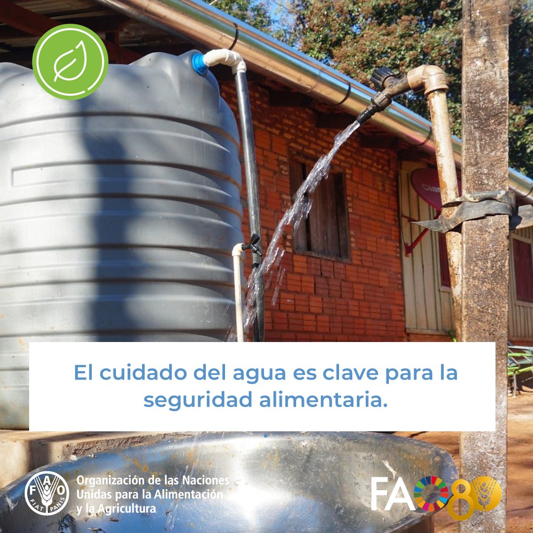 💧Enfrentar los desafíos relacionados con el agua requiere de un esfuerzo conjunto. La gestión sostenible del agua debe ser un objetivo compartido y abordado de manera colaborativa.

#MejorMedioAmbiente #FAO80