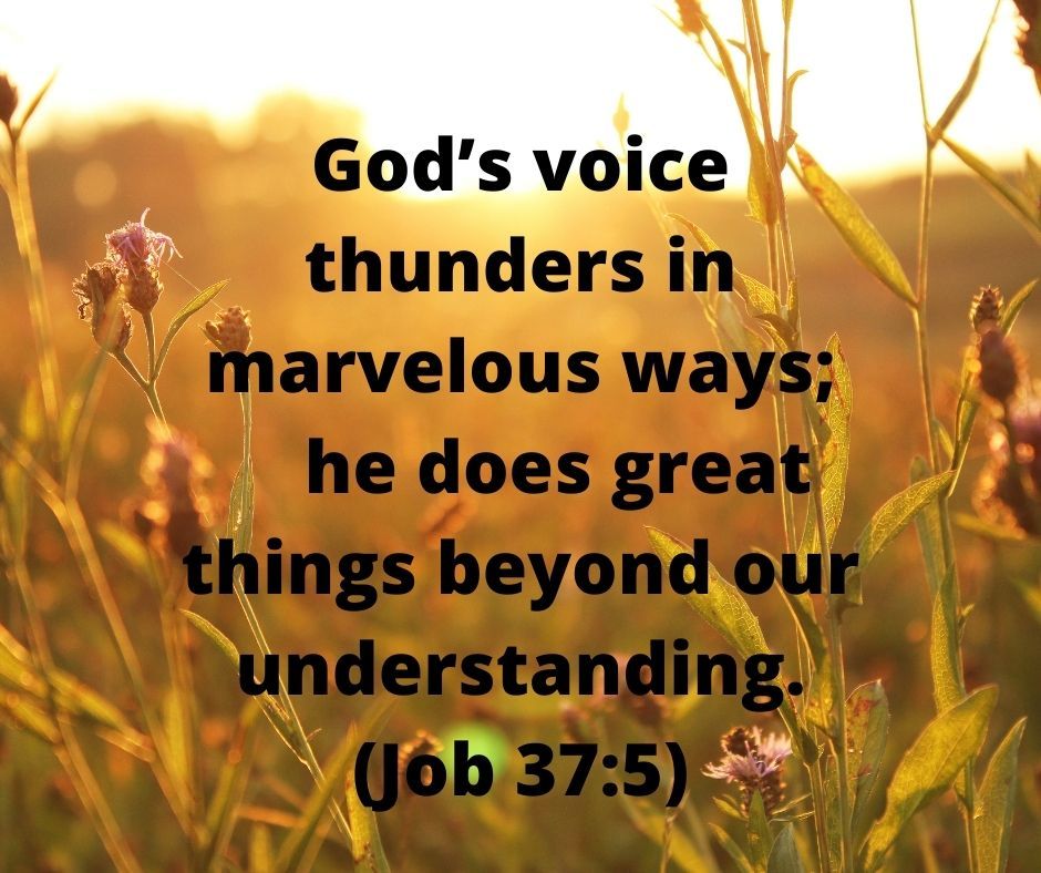 #Sundayvibes #VerseoftheDay #trustGod