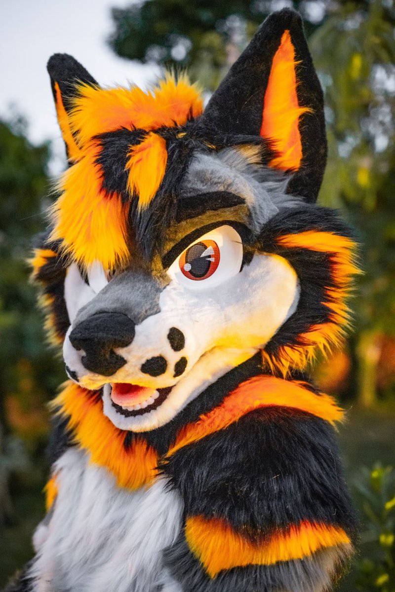 HybridLFursuits's tweet image. Very happy to show you Xeris’s finished full suit! He was a pleasure to make. Thank you @WildWoofXeris 🙏
