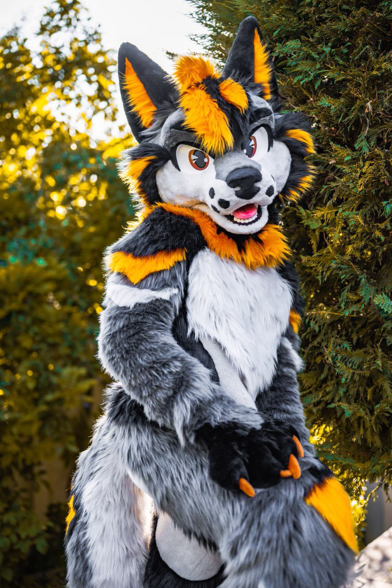 HybridLFursuits's tweet image. Very happy to show you Xeris’s finished full suit! He was a pleasure to make. Thank you @WildWoofXeris 🙏