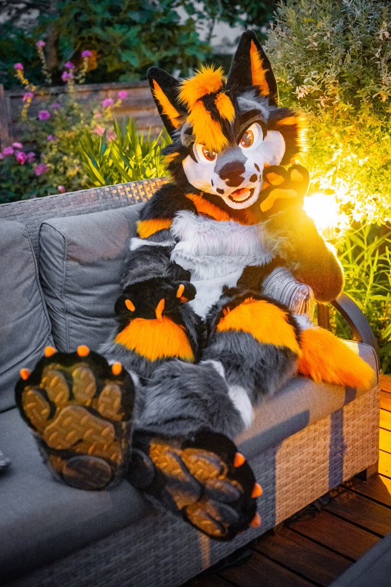 HybridLFursuits's tweet image. Very happy to show you Xeris’s finished full suit! He was a pleasure to make. Thank you @WildWoofXeris 🙏