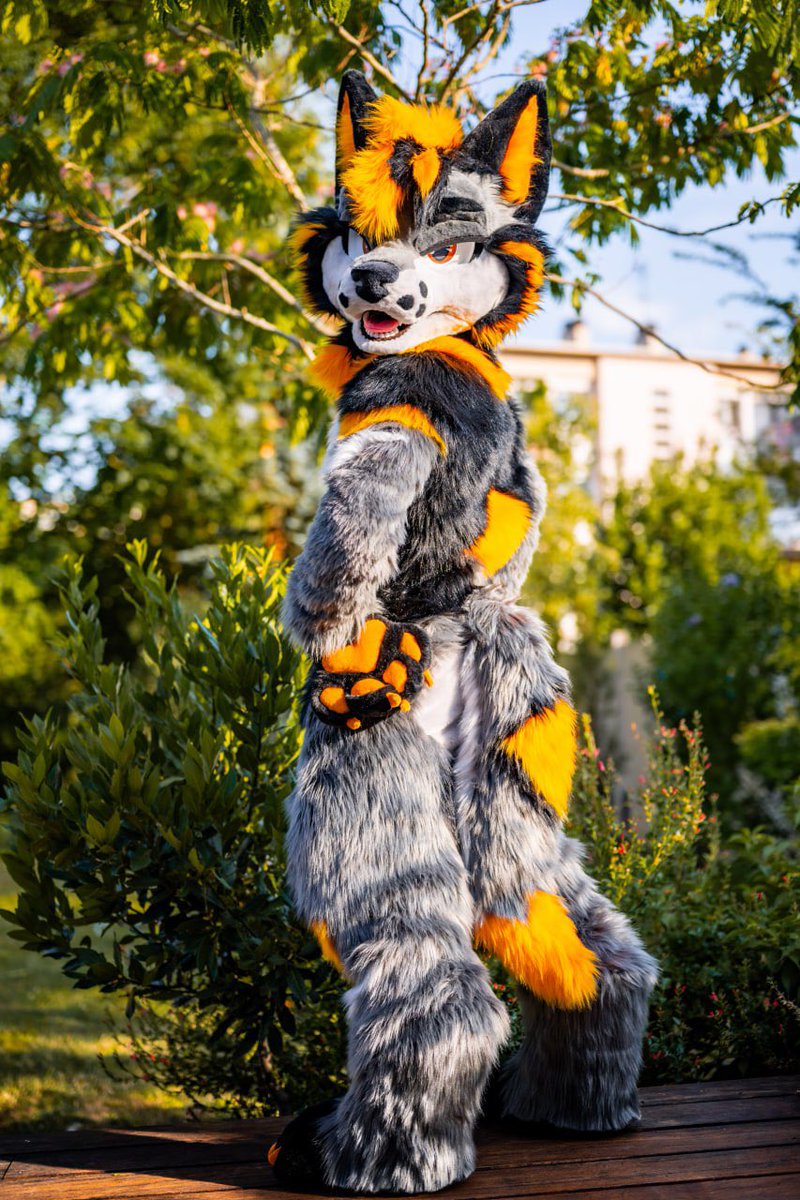 HybridLFursuits's tweet image. Very happy to show you Xeris’s finished full suit! He was a pleasure to make. Thank you @WildWoofXeris 🙏