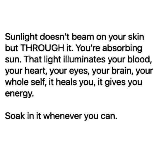 David Wolfe (@davidwolfe) on Twitter photo 