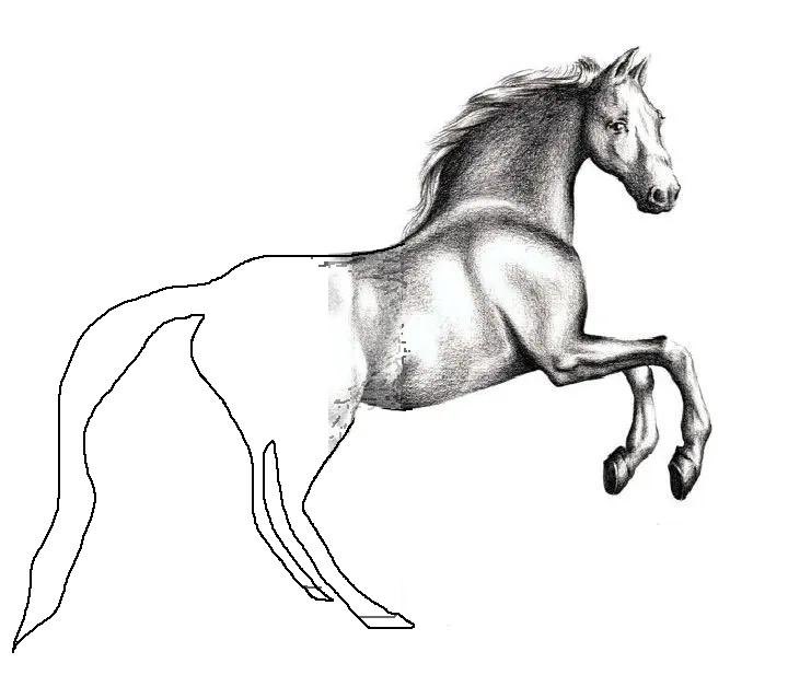 The Red Sox first half.