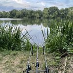 Photo by Tom Bellinger (@FlyFishermanTom)