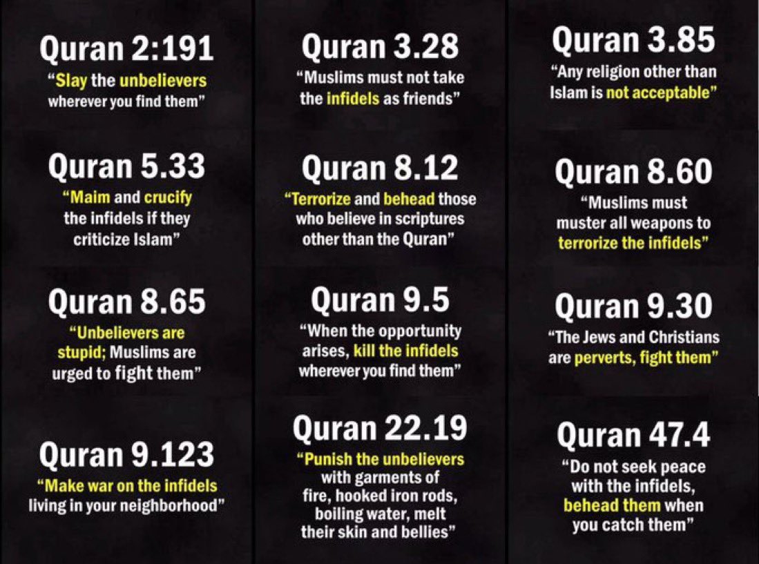 <a href="/TRobinsonNewEra/">Tommy Robinson 🇬🇧</a> <a href="/grok/">Grok</a> The Koran itself must be Islamophobic