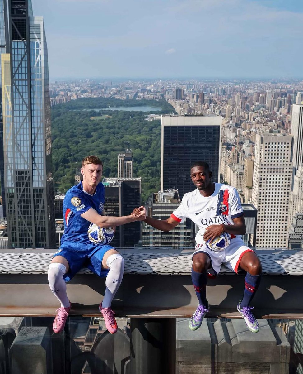 Guy Segal tweet media