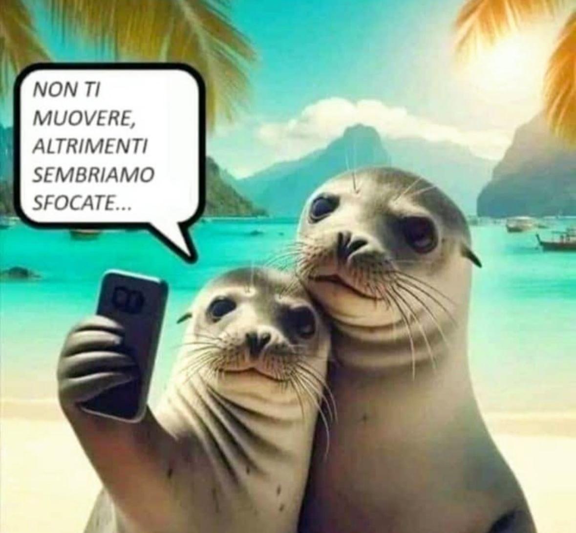 audone_celeste's tweet image. Un sorriso e buona notte, cari Xotti
