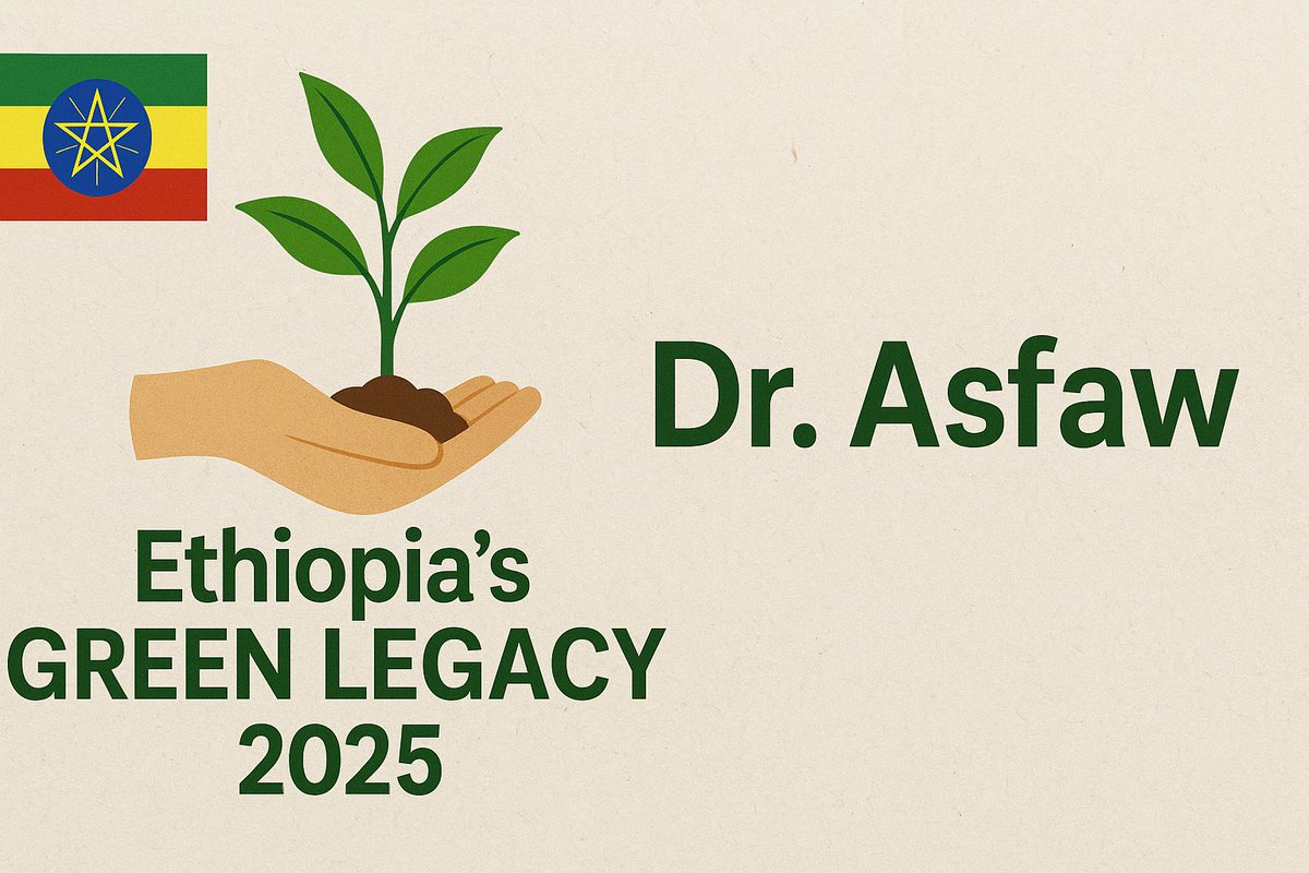 asfaw1_asfaw's tweet image. #GreenLegacy #TreeByTree #PlantHope #EthiopiaRising