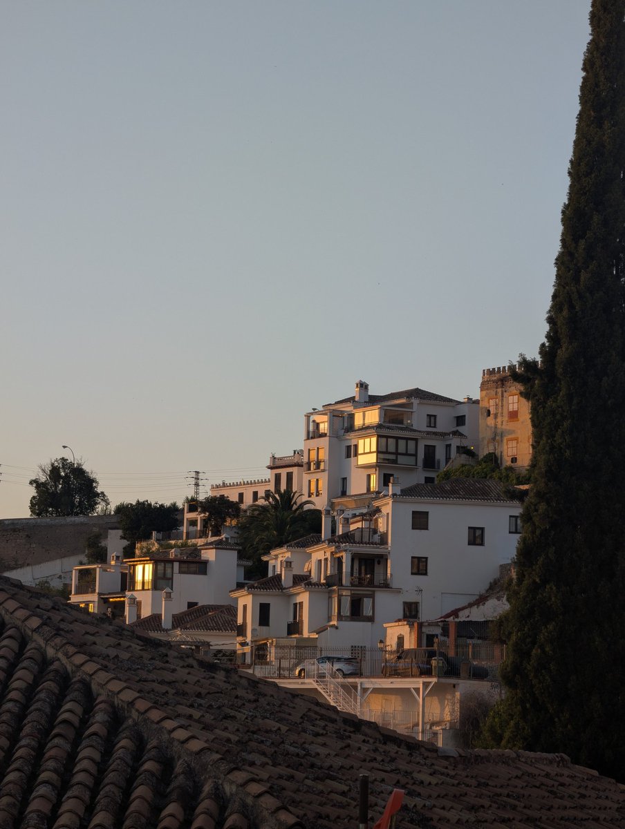 ✨Sebas✨ tweet media