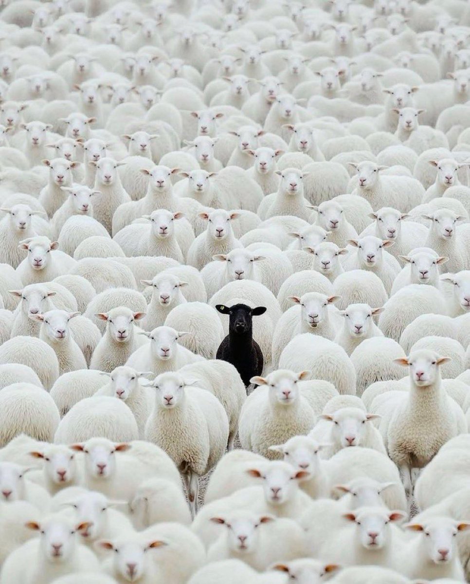 frontwish's tweet image. First few months of sobriety can feel like this. Fear not, as time passes you’ll enjoy being the one who is different. 
#RecoveryPosse