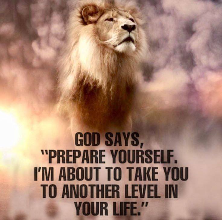 Susan (@emma6usa) on Twitter photo GOD says, โPrepare yourself. Iโm about to take you to another Level In Life.โ ๐
<a href="/fordmb1/">fordnGA777 โ๏ธโก๏ธโ๏ธ</a>
<a href="/Pgh_Buz/">โ๏ธ Pittsburgh-Buz๐บ๐ธ</a>
<a href="/ZxCjs10/">CฬทJฬทโด (K)โ๏ธ</a>
<a href="/FredP72/">USNA โ72</a>
<a href="/BB_Scats/">เผบโญโโ๐๐๐น๐๐๐ช๐๐โโโญเผป</a>
<a href="/LindaNTx/">โ๏ธ ๐ฟ๐พ๐๐น๐ถ โ๏ธ</a>
<a href="/RickD_GK/">Rick Delzer</a>
<a href="/Ikennect/">I am Ken</a>
<a href="/Rammie24/">๐RAMMIE๐</a>
<a href="/bdonesem/">๐ ๐๐ฑ๐ฒ๐ผ๐น๐ฎ๐ป ๐ ( โ๐๐ต ) ๐</a>
<a href="/BigQYoda1/">BigQYoda</a>
<a href="/PaulMer53/">PAULWALES LIVE LOVE LAUGH GUNS N ROSES ๐น</a>
<a href="/Scobra642/">๐บ๐ธโ๏ธ๐บ๐ธPROUD NAVY VET๐บ๐ธโ๏ธ๐บ๐ธ</a>
<a href="/45Scooby2/">Scooby-Doo Too</a>
<a href="/MAC_ARMY1/">SGT_MAC</a>
<a href="/MoosesFelix/">Mooses Felix ๐บ๐ธ</a>
<a href="/1mZerOCool/">1mZerOCool๐๐ธ๐ค</a> GOD says, โPrepare yourself. Iโm about to take you to another Level In Life.โ ๐
<a href="/fordmb1/">fordnGA777 โ๏ธโก๏ธโ๏ธ</a>
<a href="/Pgh_Buz/">โ๏ธ Pittsburgh-Buz๐บ๐ธ</a>
<a href="/ZxCjs10/">CฬทJฬทโด (K)โ๏ธ</a>
<a href="/FredP72/">USNA โ72</a>
<a href="/BB_Scats/">เผบโญโโ๐๐๐น๐๐๐ช๐๐โโโญเผป</a>
<a href="/LindaNTx/">โ๏ธ ๐ฟ๐พ๐๐น๐ถ โ๏ธ</a>
<a href="/RickD_GK/">Rick Delzer</a>
<a href="/Ikennect/">I am Ken</a>
<a href="/Rammie24/">๐RAMMIE๐</a>
<a href="/bdonesem/">๐ ๐๐ฑ๐ฒ๐ผ๐น๐ฎ๐ป ๐ ( โ๐๐ต ) ๐</a>
<a href="/BigQYoda1/">BigQYoda</a>
<a href="/PaulMer53/">PAULWALES LIVE LOVE LAUGH GUNS N ROSES ๐น</a>
<a href="/Scobra642/">๐บ๐ธโ๏ธ๐บ๐ธPROUD NAVY VET๐บ๐ธโ๏ธ๐บ๐ธ</a>
<a href="/45Scooby2/">Scooby-Doo Too</a>
<a href="/MAC_ARMY1/">SGT_MAC</a>
<a href="/MoosesFelix/">Mooses Felix ๐บ๐ธ</a>
<a href="/1mZerOCool/">1mZerOCool๐๐ธ๐ค</a>