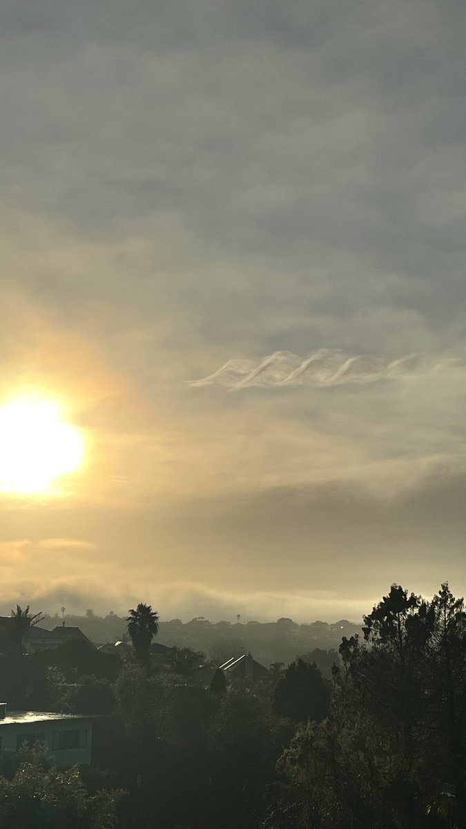 Ruth Thielke tweet media