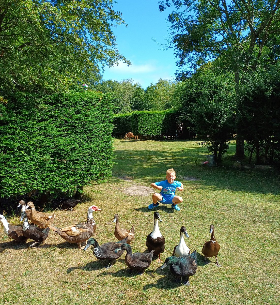 theLucyStrange's tweet image. Might have run orf for a cheeky weekend of camping in the sunshine, reading in the shade, swimming in the sea, drinking beer, toasting marshmallows and herding ducks