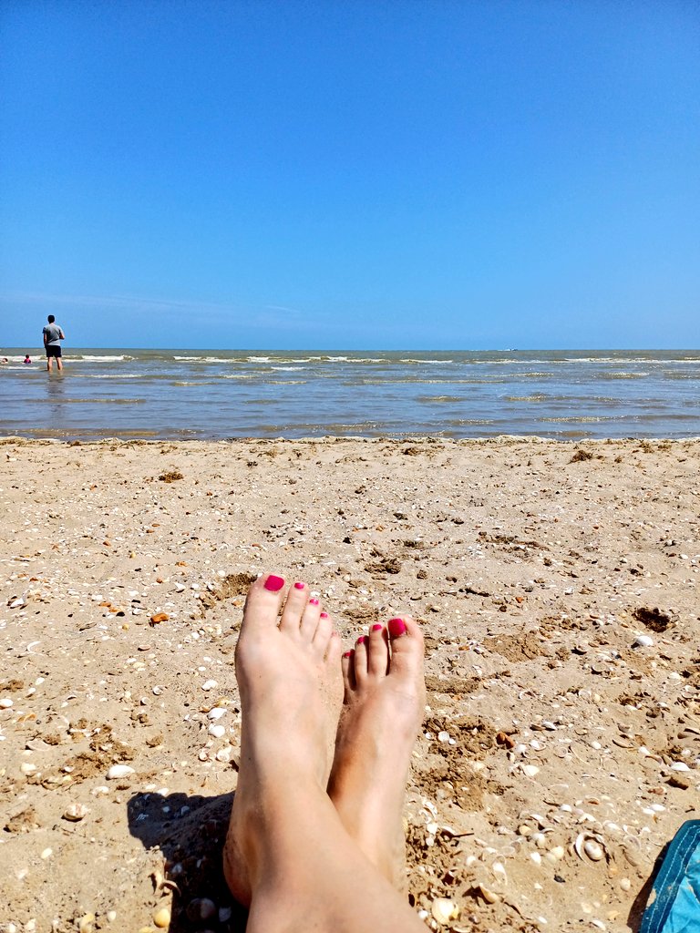 theLucyStrange's tweet image. Might have run orf for a cheeky weekend of camping in the sunshine, reading in the shade, swimming in the sea, drinking beer, toasting marshmallows and herding ducks