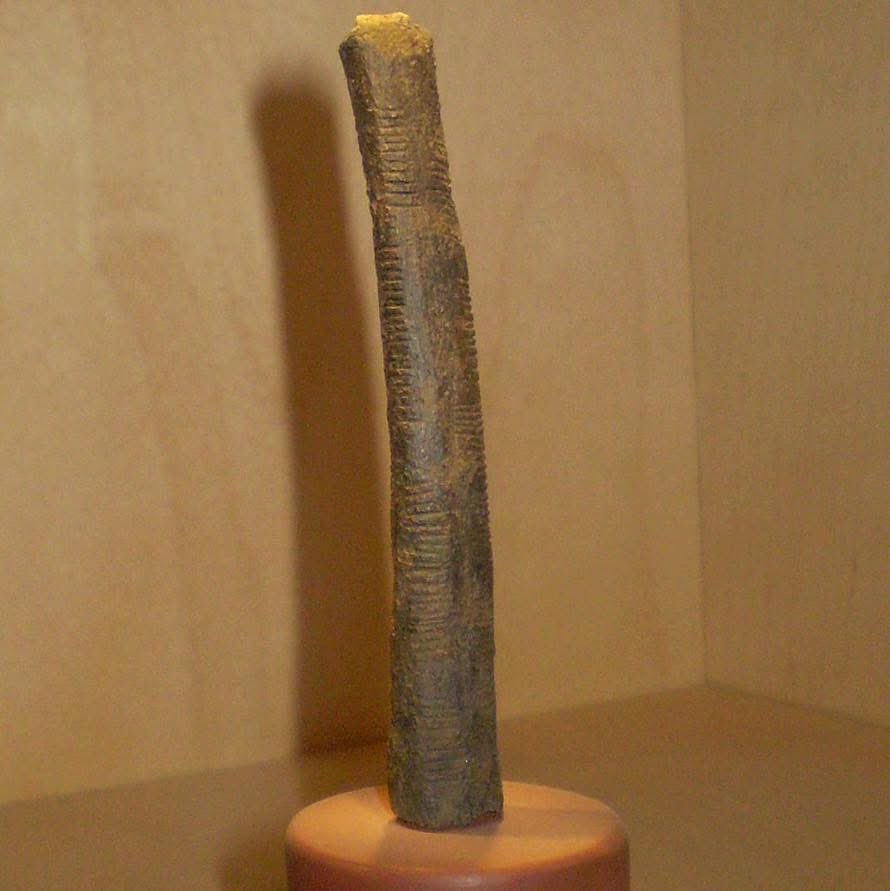 🔎 LE SAVIEZ-VOUS ?

🔬 Le plus ancien outil mathématique a été découvert en RDC 🇨🇩

Découvert près du lac Édouard en 1950, l’os d’Ishango est considéré comme le plus ancien outil mathématique au monde (20.000 ans). On estima d'abord qu'il s'agissait d'os datant de 9 000 à 6 500