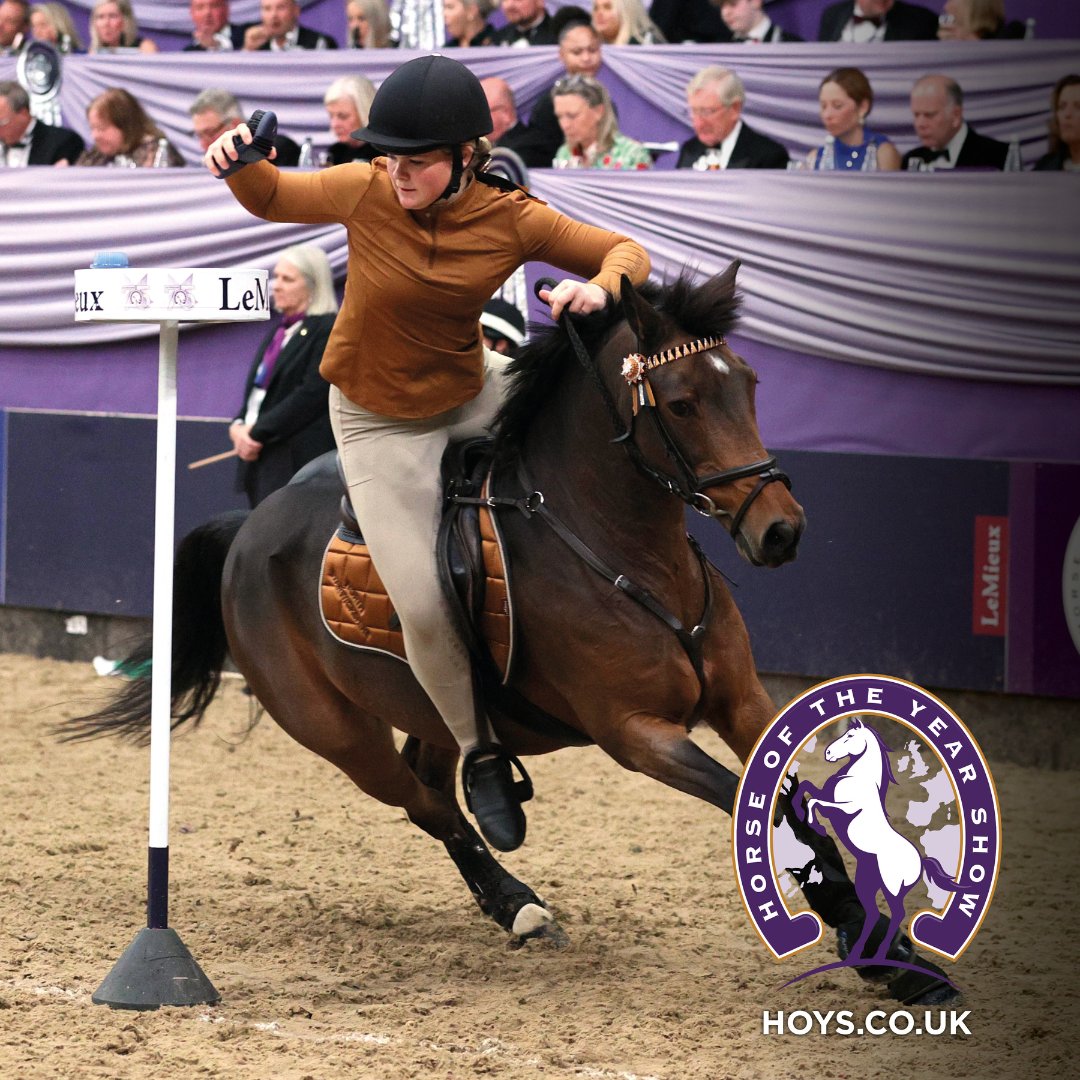 🐴 GIDDY UP, IT’S AN AXS SALE! 🐴

Get 50% OFF tickets to the Horse of the Year Show from 8–12 October 2025! 

Offer valid for 8, 9, and 12 October (evening) shows – ends 12pm, 16 July 2025

Get your tickets here: bit.ly/4eBKPrA