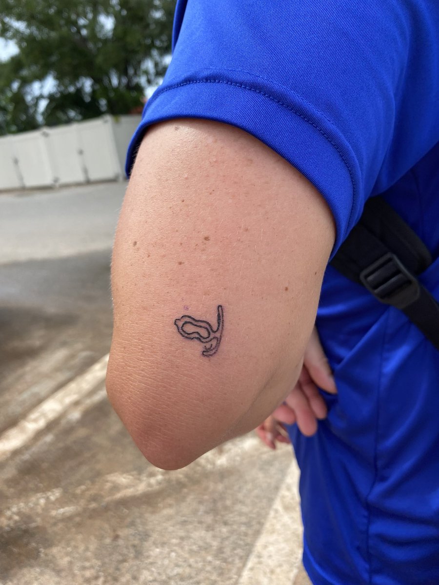 When your head coach <a href="/WakaFlockaBaca/">Brynn Baca</a>,  gets a 🤿 tattoo, you know you have arrived <a href="/FGCLsoftball/">Florida Gulf Coast League</a>‼️

#NautNation 🤿🏆