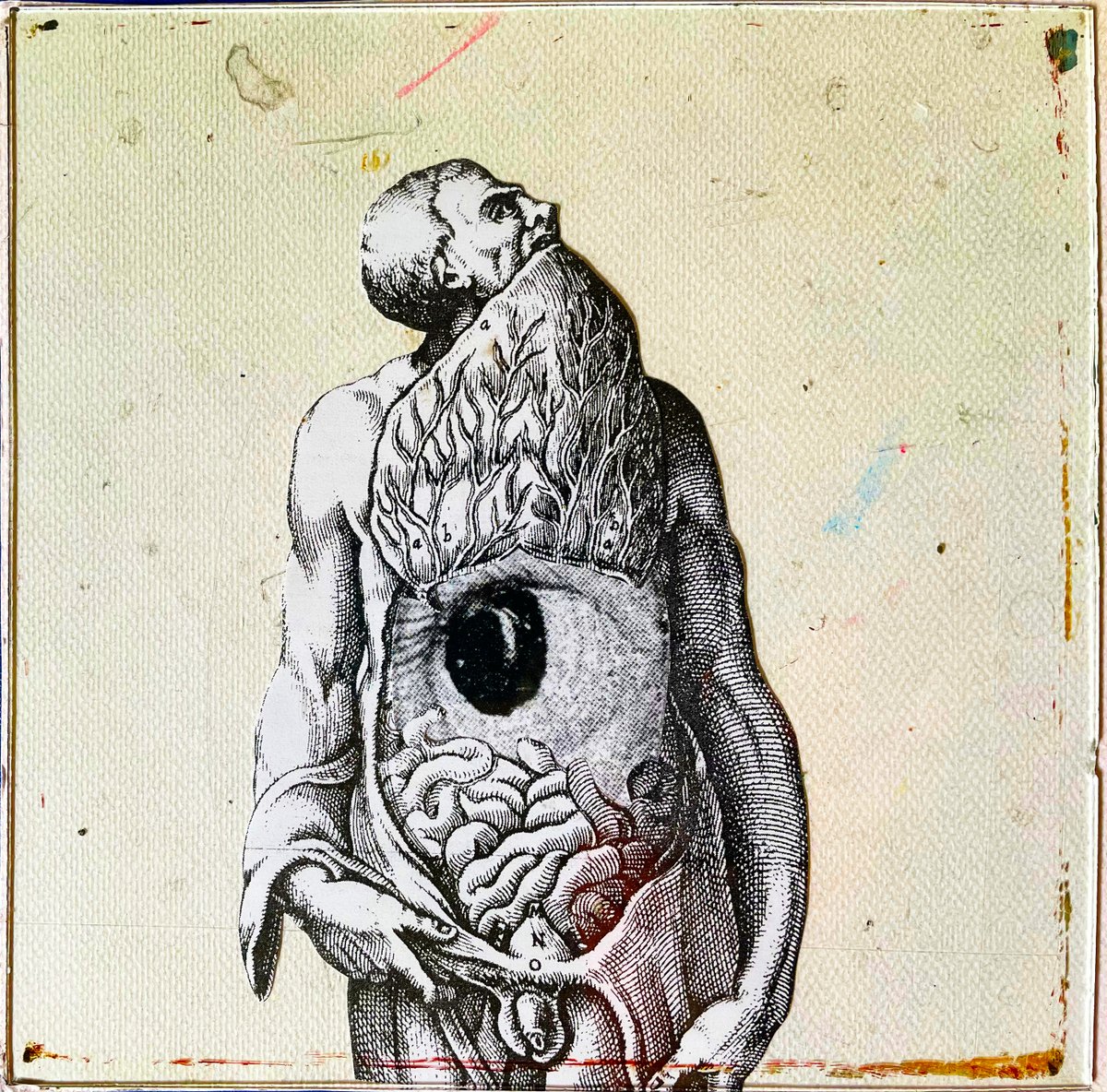 JohnDummett4's tweet image. eye belly