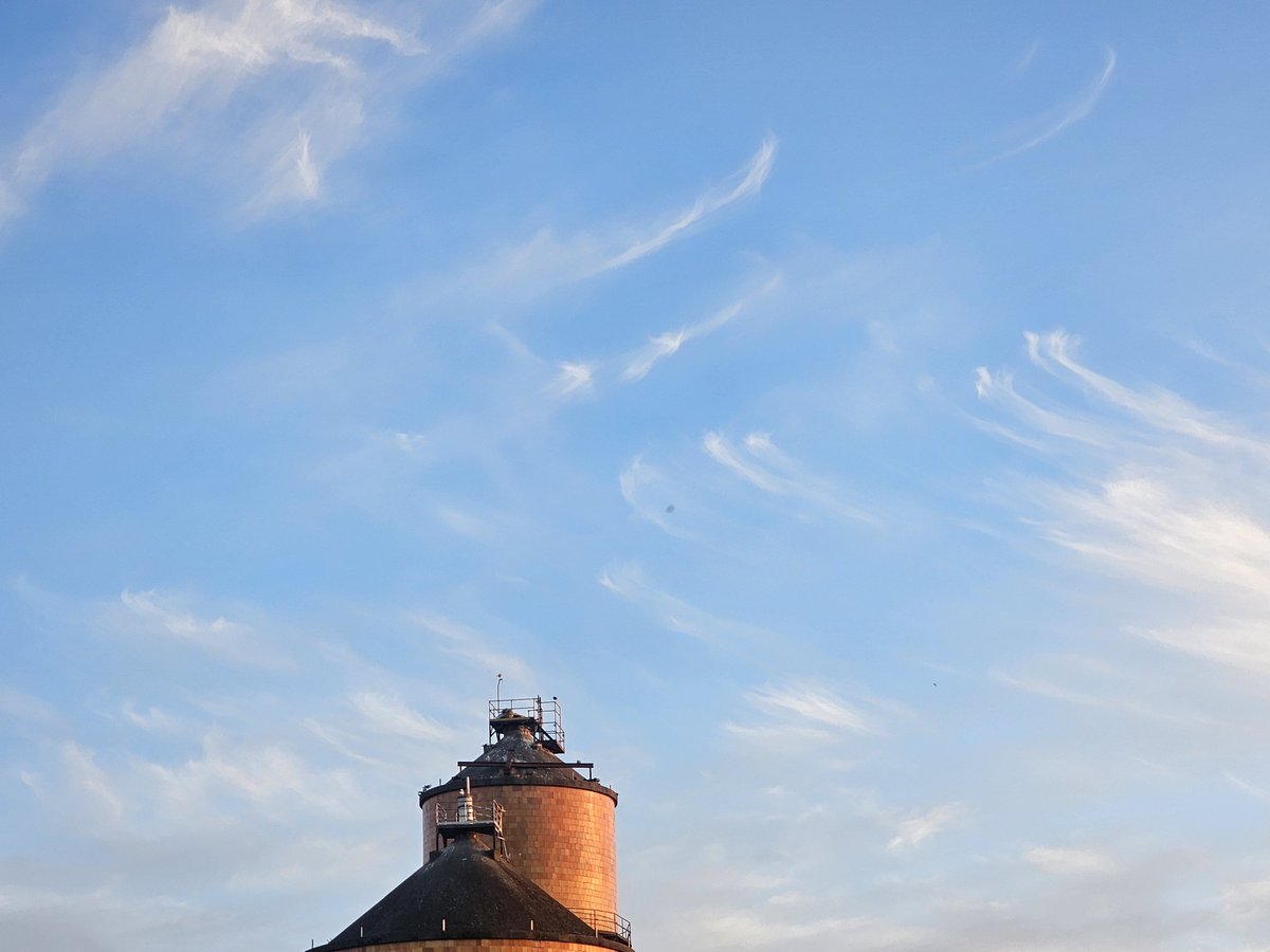 Took this picture in Bellingham yesterday evening. Looks like a painting!