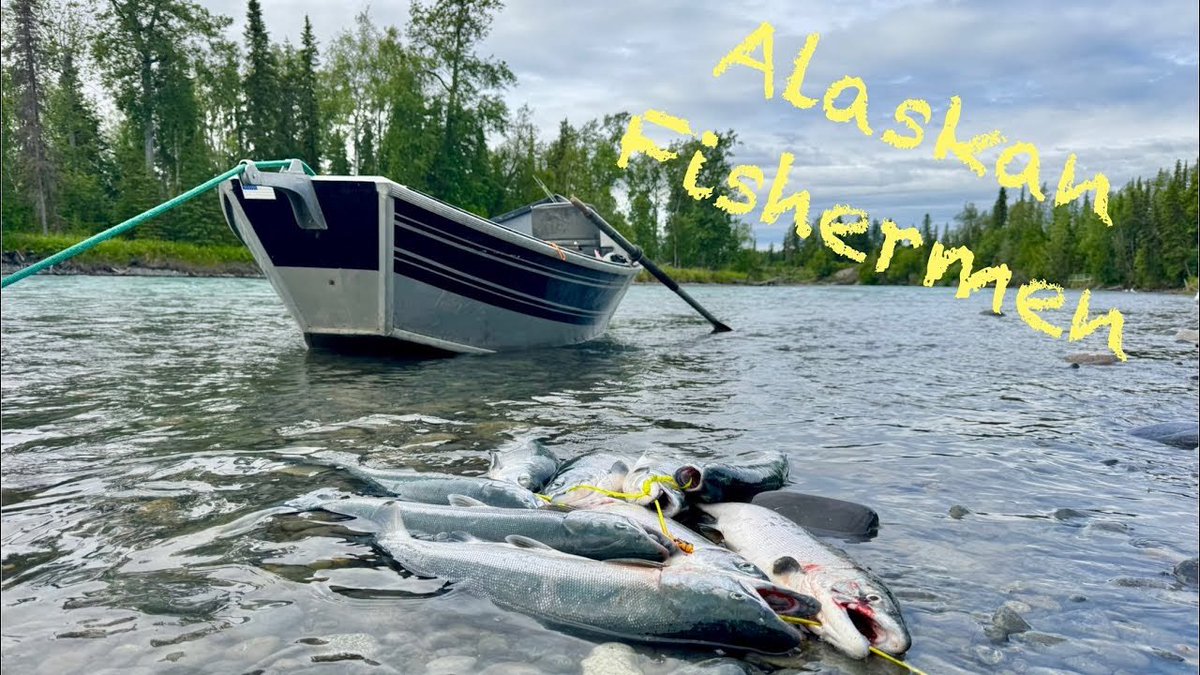 akkingon's tweet image. There is definitely a hierarchy of Alaska fisherman, and it’s important to know your place on the list.😉
youtu.be/I_e1cZ6qtzI