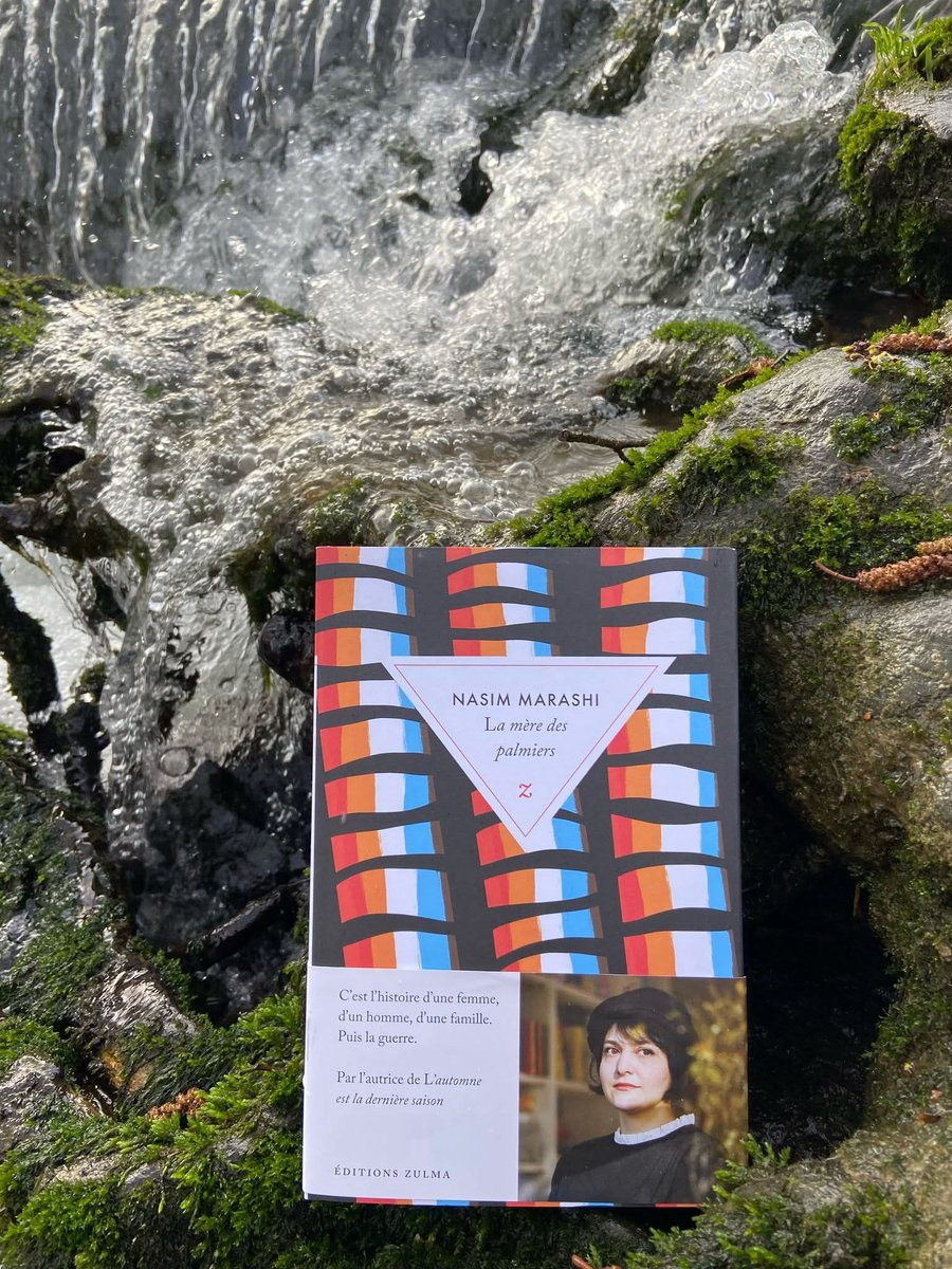 La mère des palmiers 
Nassim Marashi
Traduit du persan (Iran) par Julie Duvigneau
Éditions Zulma
✨✨✨✨✨
On reste à l'intérieur de ce roman sublime dont l'héroïsme est le cœur des mères.
Un chant désespéré, magnifiquement écrit.
🌴🌴🌴🌴🌴