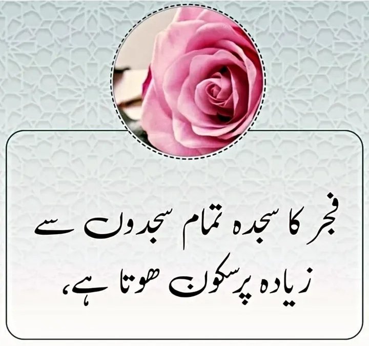 السلام علیکم ورحمتہ اللہ وبرکاتہ ساتھیو.!
کوئی تمہارا دل دکھاے تو ناراض مت ہونا کیونکہ قدرت کا قانون ہے جس درخت کا پھل زیادہ میٹھا ہوتا ہے لوگ پتھر بھی اسی کو مارتے ہیں...!!
اللہ پاک ہم سب کو فجر کی نماز با جماعت ادا کرنے کی توفیق عطا فرمائے آمین 🤲♥️
#FREEPALESTINEFROMZIONISM