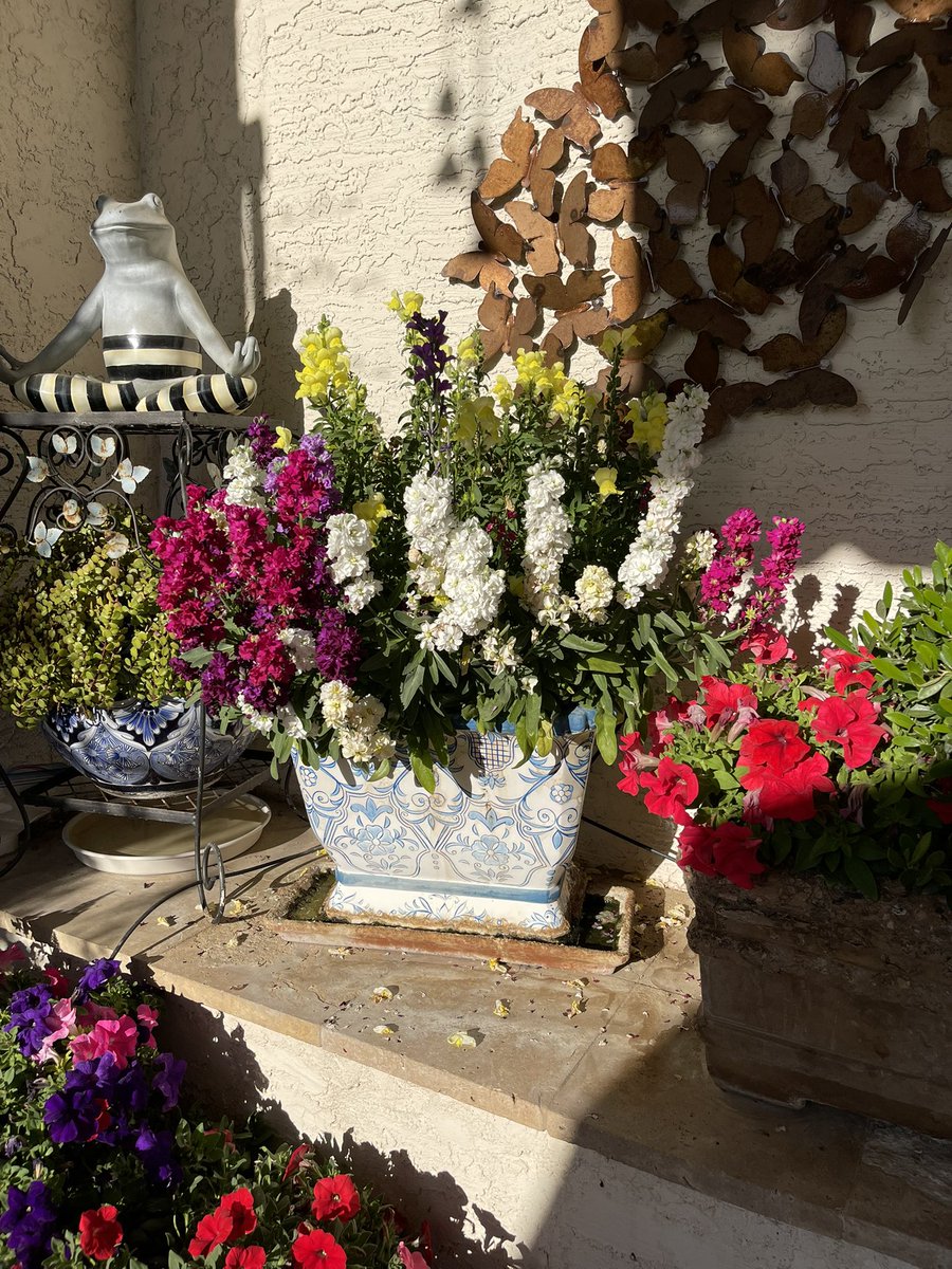 AliceMartin8's tweet image. Elevate your flowers from pretty to unforgettable. #potscapers