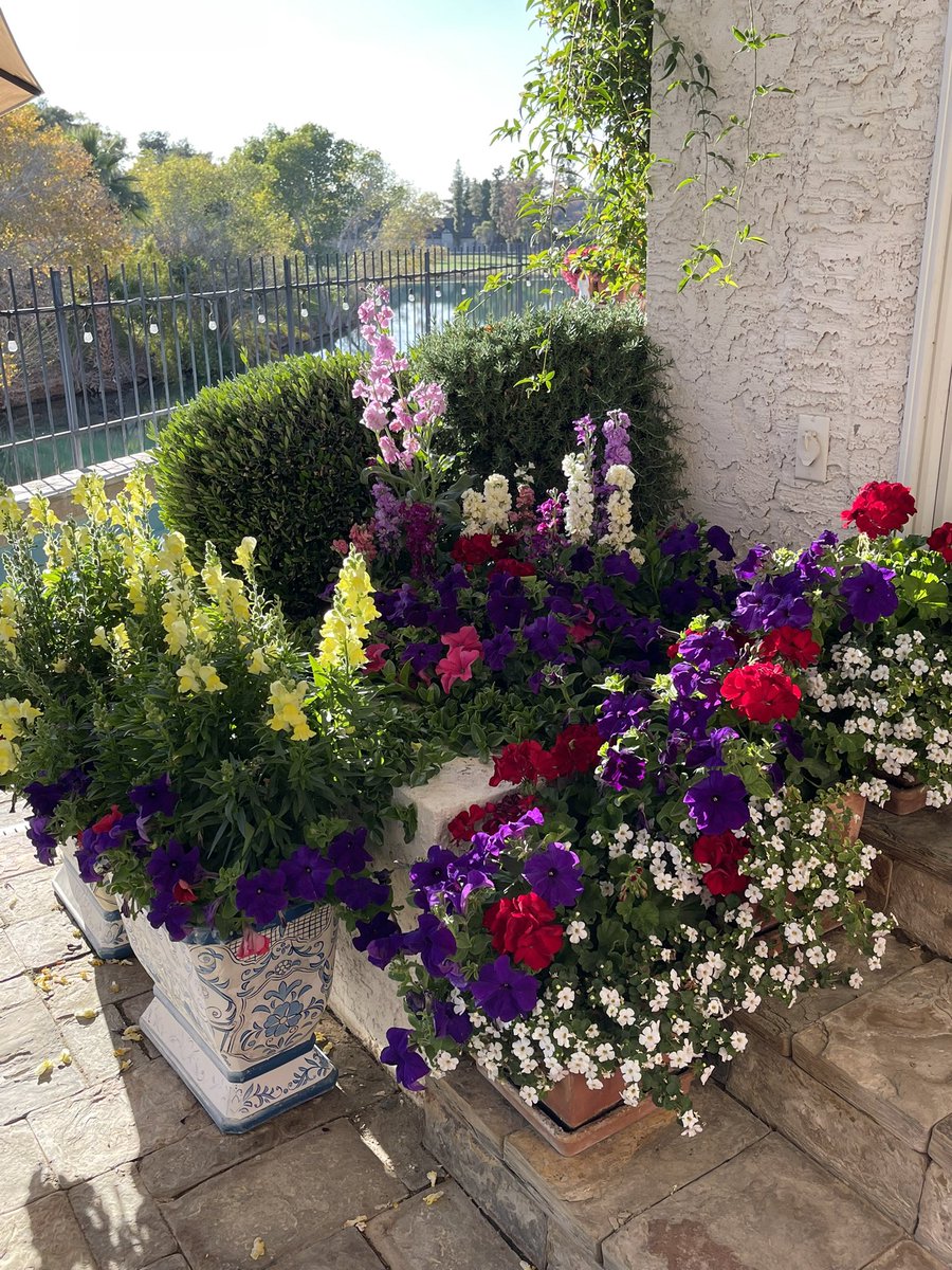 AliceMartin8's tweet image. Elevate your flowers from pretty to unforgettable. #potscapers