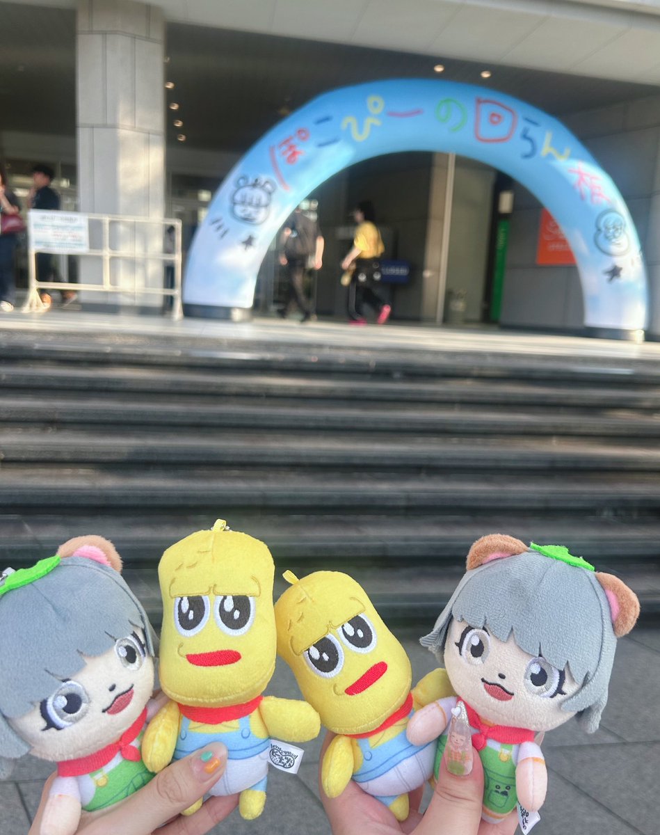 ぱっつん tweet media