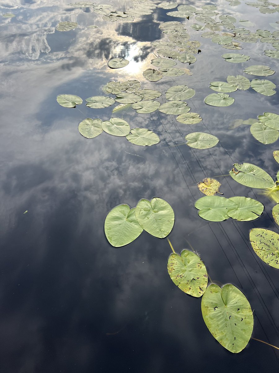 Är vid sjön och badar och vilar. 
Så som i himlen, så på jorden. 
☀️🙏❤️